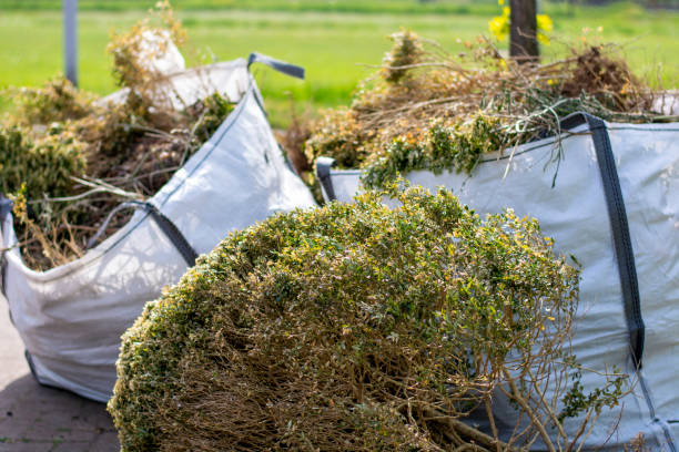 Best Electronics Removal Services  in Moville, IA